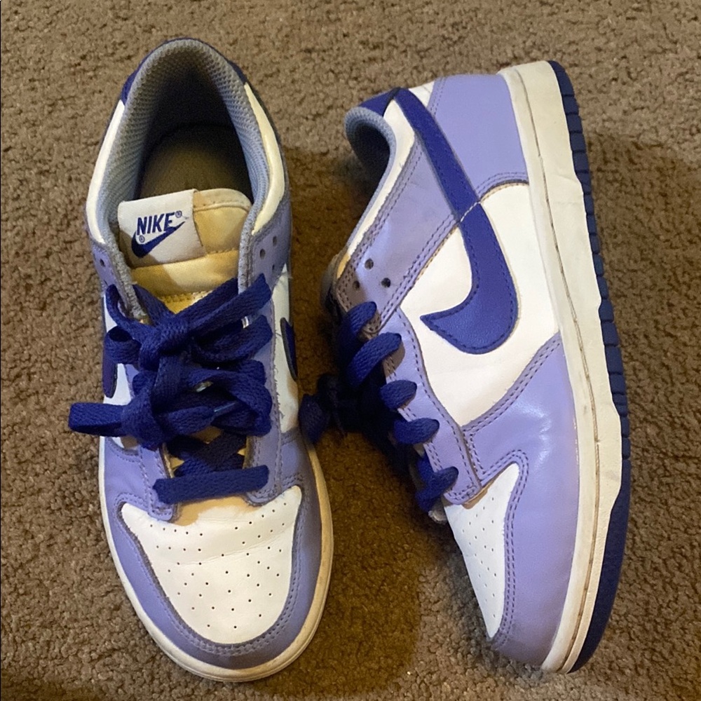 Nike dunks kids